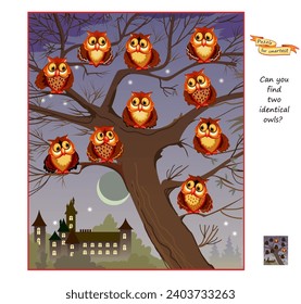 Logic puzzle game for children and adults. Can you find two identical owls? Page for kids brain teaser book. Task for attentiveness.  IQ test. Play online. Vector cartoon illustration.