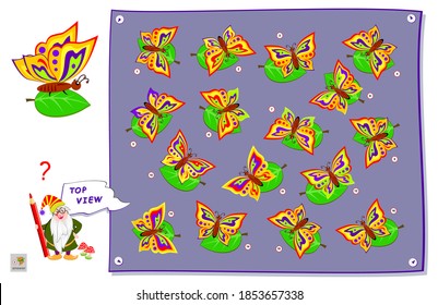 Logic puzzle game for kids. Need to find correct top view of butterfly. Worksheet for school textbook. Page for brain teaser book. Developing spatial thinking skills. Memory exercise for seniors.