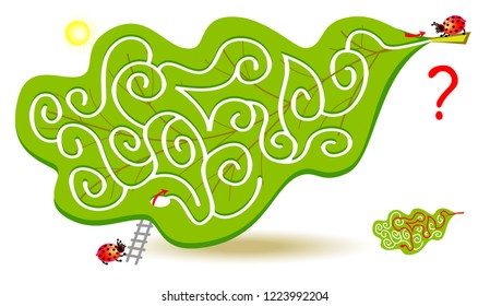 Logic puzzle game with labyrinth for children and adults. Help the ladybird find the way in oak leaf to his friend and draw the line. Vector cartoon image.