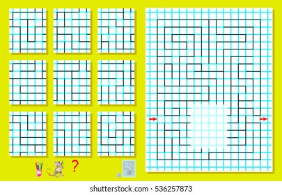 Logic puzzle with labyrinth on a square paper. Need to find the only one correct piece and draw it so to pass the way from beginning to end. Vector image.