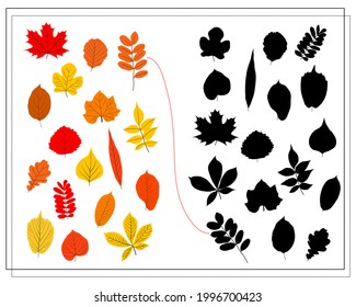 ein logisches Spiel für Kinder, finden Sie den richtigen Schatten für die Herbstblätter der Bäume. Vektorgrafik einzeln auf weißem Hintergrund.