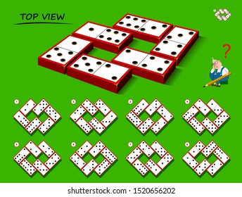 Logical puzzle game for children and adults. Need to find correct top view of dominoes. Printable page for kids brain teaser book. Developing spatial thinking skills. IQ training test. Vector image.