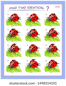 Logical puzzle game for little children. Need to find two identical ladybirds. Educational page for kids. IQ training test. Printable worksheet for textbook. Back to school. Vector cartoon image.