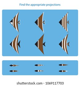 Logical task. Find the appropriate projections. Vector illustration