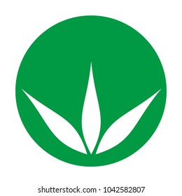 logo about herbs