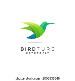 Logo Abstract Bird Fly Colorful Illustration