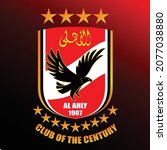 The logo of Al Ahly club which is the century club ,the red flag with an eagle in the middle .