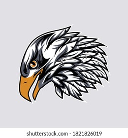 logo Animal Head eagle  vector icon