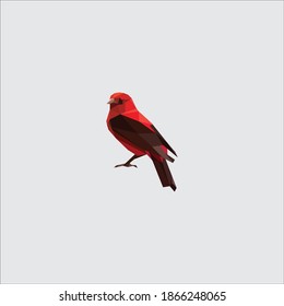 logo animal icon vector templet
