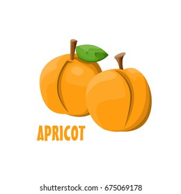 Logo Apricot vector farm design