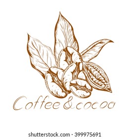 logo aroma of coffee with coffee beans with coffee leaves and cocoa beans in retro style