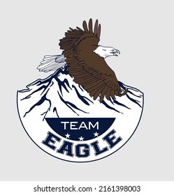 logo bald eagle with Mountan