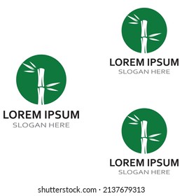 Logo of a bamboo plant or a type of hollow plant. Using a modern vector concept design