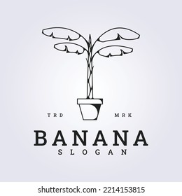 logo of banana tree vector illustration line art design, interior banana tree in the pot