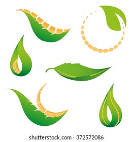 Logo Biology Nature