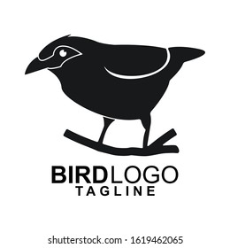 logo bird animal vector design icon silhouette Forest                   