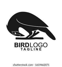 logo bird animal vector design icon silhouette Forest                   