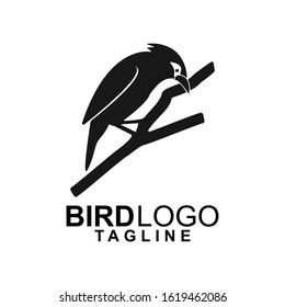 logo bird animal vector design icon silhouette Forest                   