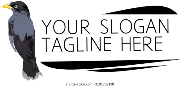 logo with a bird theme for your business