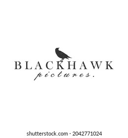plantilla de ilustración de halcón negro con logotipo. fotos de películas. producción