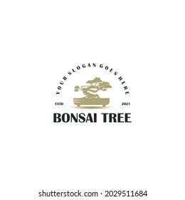 logo bonsai tree, logo reference