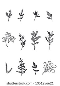 logo botanical set vector