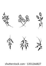 logo botanical set vector