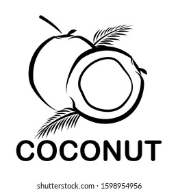 Logo Brand Coconut Vector Design