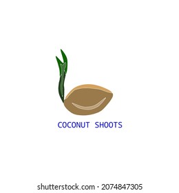 the logo of a brown coconut fruit that has just sprouted