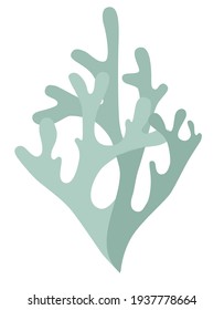 Logo bush of lichen, deer moss, Icelandic moss in two colors on a white background