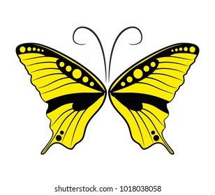 Logo of butterfly