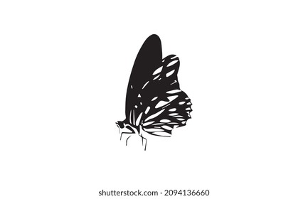 diseño de ilustraciones vectoriales en blanco y negro con logotipo mariposa
