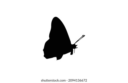 logo butterfly black and white vector illustration design