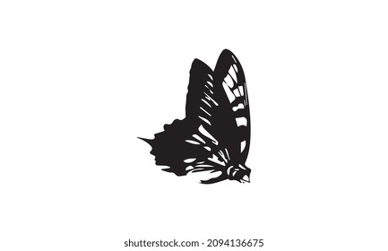 logo butterfly black and white vector illustration design