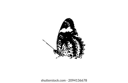 logo butterfly black and white vector illustration design