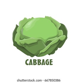 Logo Cabbage vector farm design