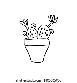 logo cactus mammillaria.sign hand drawn cactus mammillaria in a pot.Cute element for card, social media banner, sticker, print, decoration kids playroom