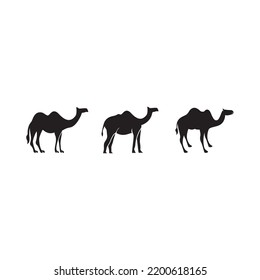 logo camel head symbol, camel logo.