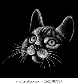 The logo cat for tattoo or T-shirt design or outwear.  Cute print style cat background. This drawing would be nice to make on the black fabric or canvas