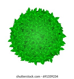 Logo of a circle with leaves