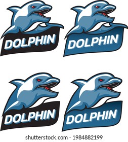 logo club dolphin angry football volleyball futsal sports club