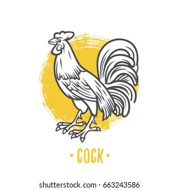 Logo of cock on a white background. Coat of arms, heraldry, emblem, symbol design elements.