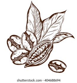 logo of the coffee beans cocoa beans and coffee leaf hand-drawn on a white background