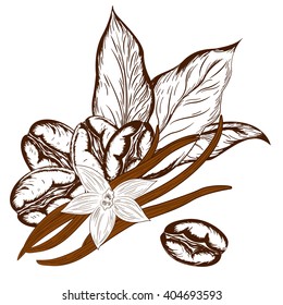 logo with coffee beans with coffee leaves, pods of vanilla and vanilla flower in a retro style on a white background