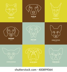 Logo collection with different dog breeds, including german sheepherd, labrador, doberman, husky. Dog faces. Modern illustration of veterinarian clinic, dog breeder logo. 