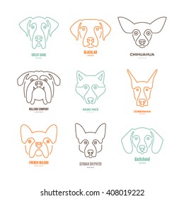 Logo collection with different dog breeds, including german sheepherd, labrador, doberman, husky. Dog faces. Modern illustration of veterinarian clinic, dog breeder logo. 