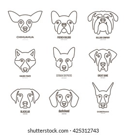 Logo collection with different dog breeds, including german sheepherd, labrador, doberman, husky. Dog faces. Modern illustration of veterinarian clinic, dog breeder logo. 