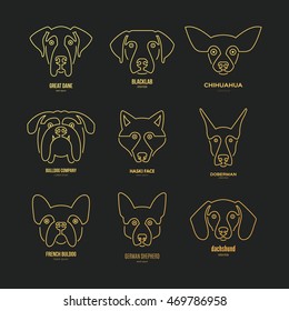 Logo collection with different dog breeds, including german sheepherd, labrador, doberman, husky. Dog faces. Modern illustration of veterinarian clinic, dog breeder logo. 