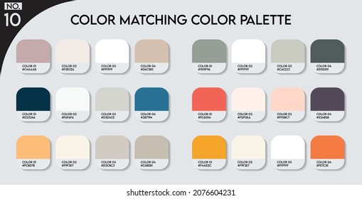 Logo Color matching color palette - 10 , Fashion Trend Color guide palette, An example of a color palette vector. Forecast of the future .HAX code palette for fashion designers, fashion business