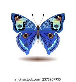 logo with colorful butterfly ornaments